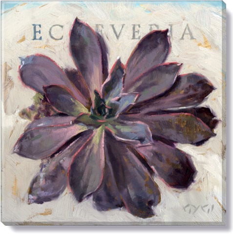 Echeveria Giclee Wall Art