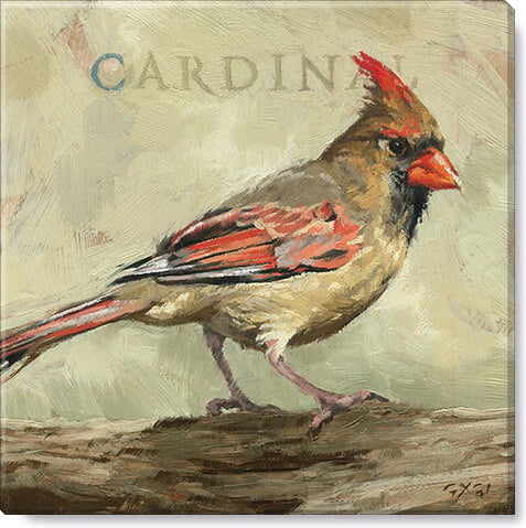 Female Cardinal Giclee Art