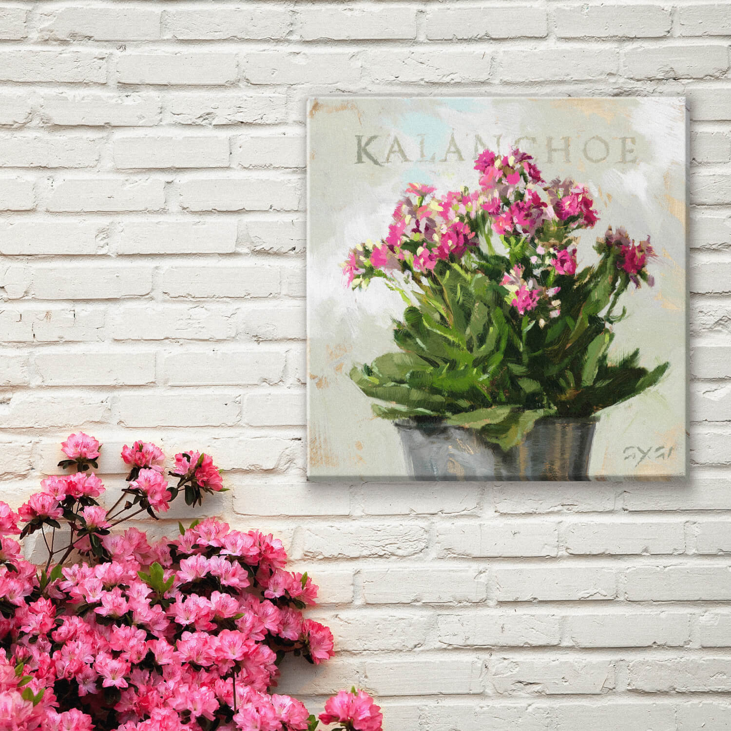 Kalanchoe Giclee Wall Art
