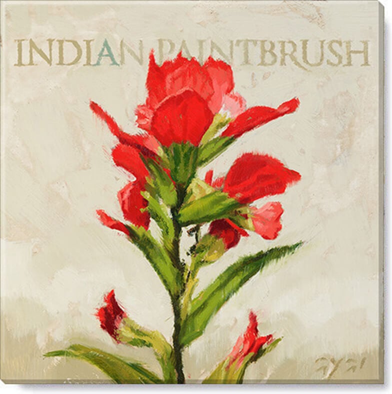 Indian Paintbrush Giclee Art