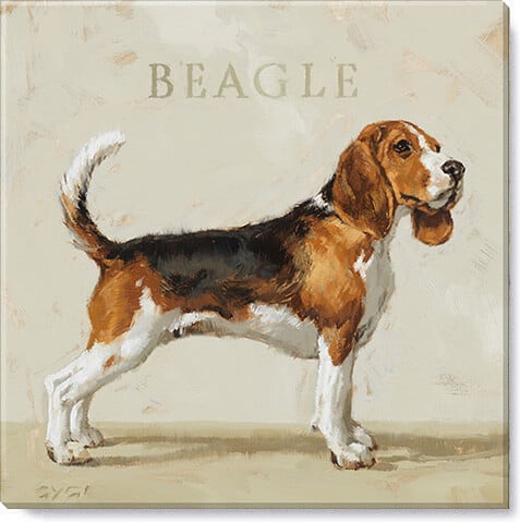 Beagle Giclee Wall Art