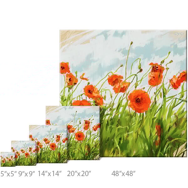Poppy Field Landscape