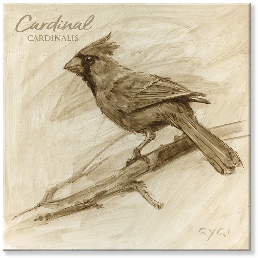 Sepia Northern Cardinal