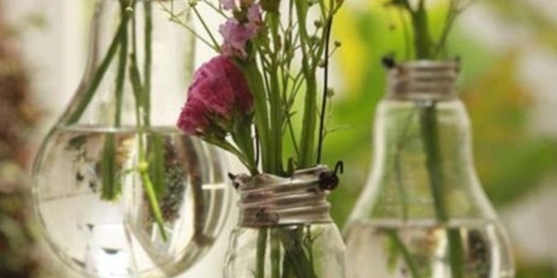 Spruce Up For Spring