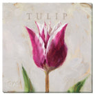 Purple Tulip Giclee Wall Art