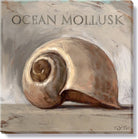 Ocean Mollusk Giclee Wall Art