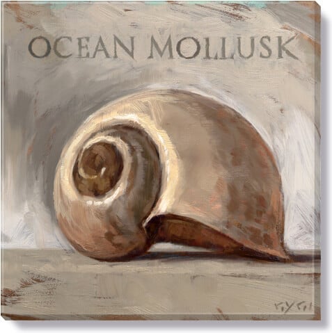 Ocean Mollusk Giclee Wall Art