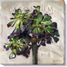 Aeonium Giclee Wall Art