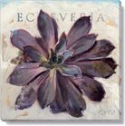 Echeveria Giclee Wall Art