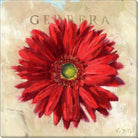 Red Gerbera Giclee Wall Art