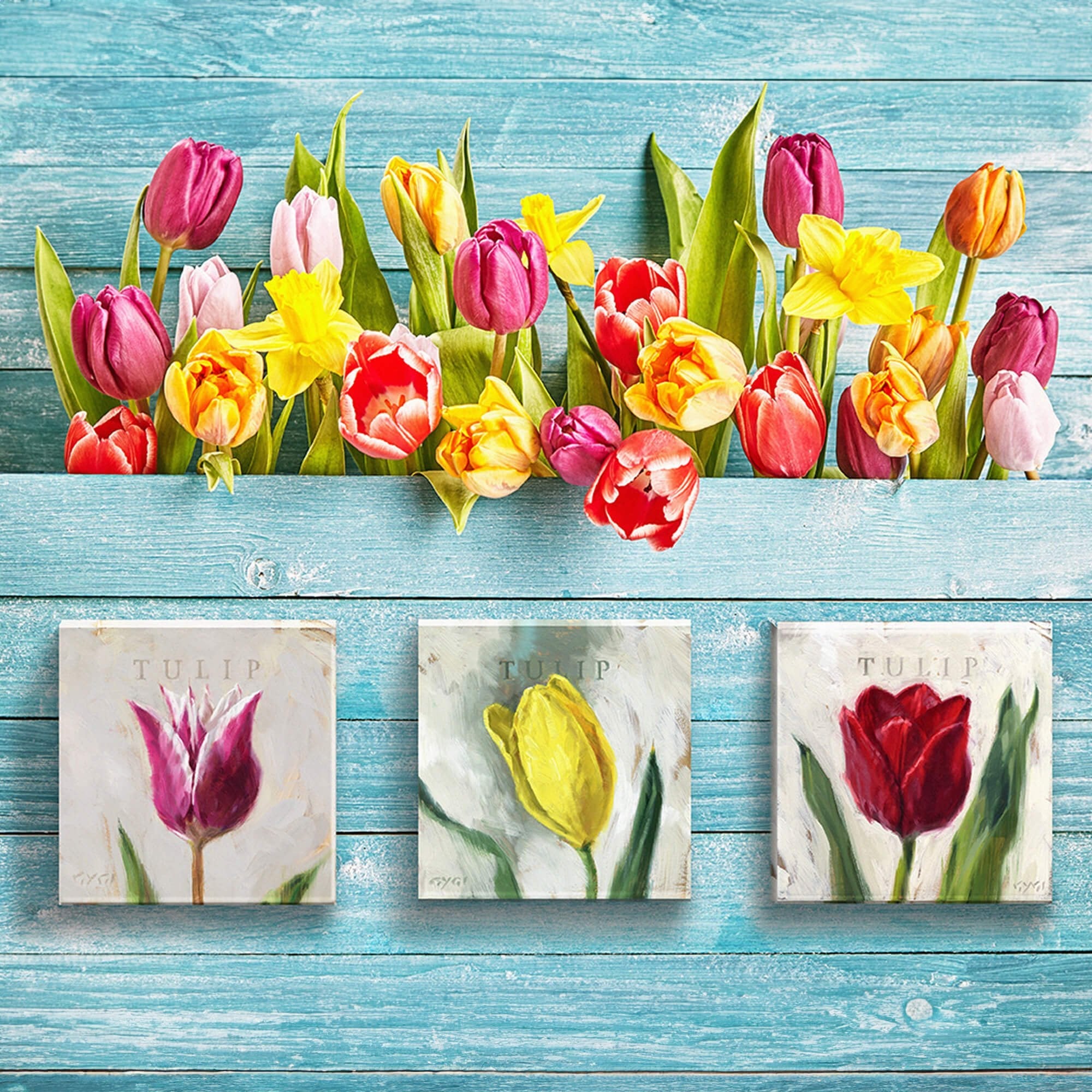 Yellow Tulip Giclee Wall Art