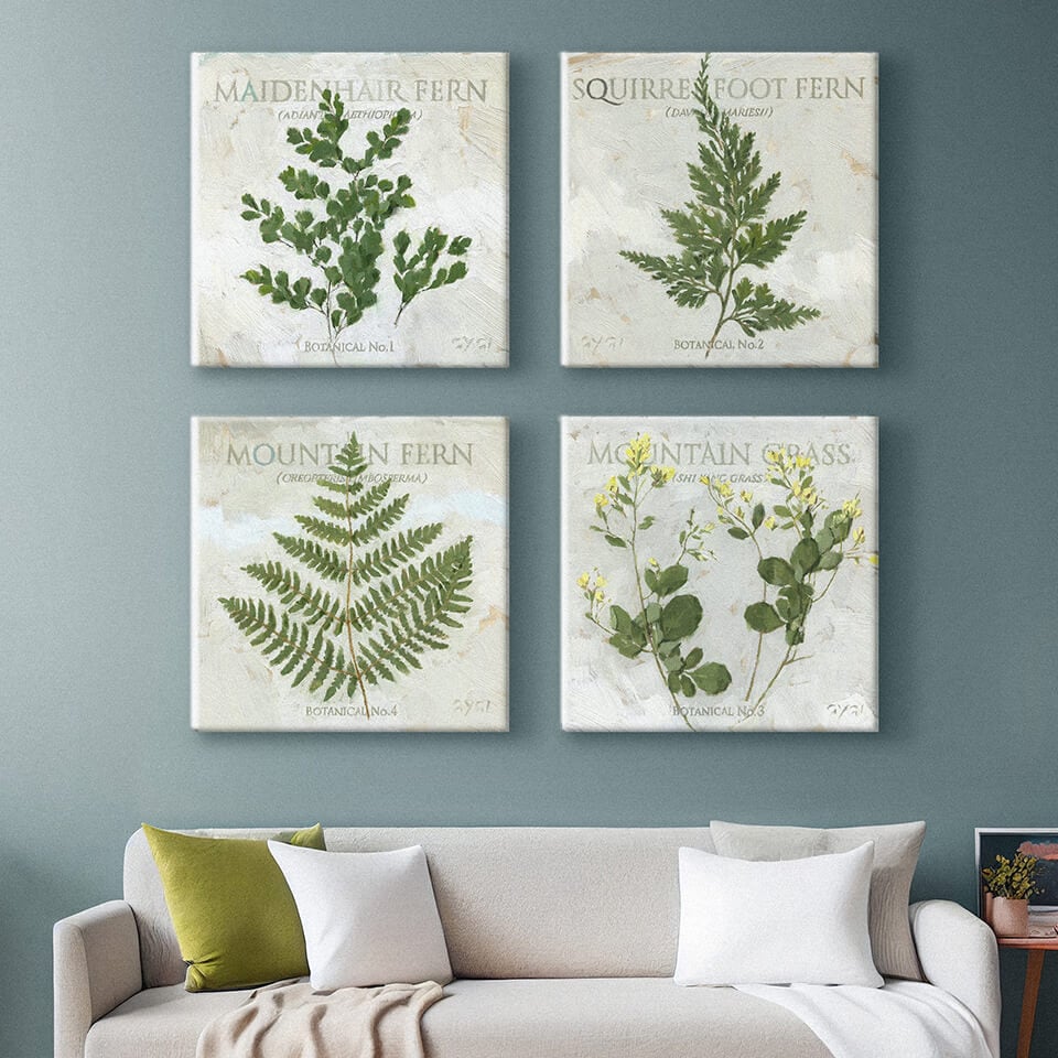 Squirrel Foot Fern Giclee Art