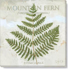 Mountain Fern Giclee Wall Art