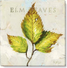 Elm Leaves Giclee Wall Art