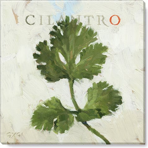 Cilantro Giclee Wall Art