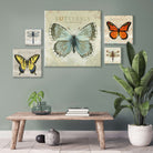 Brown Dragonfly Giclee Art