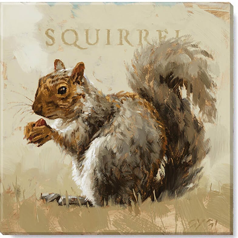 Squirrel Giclee Wall Art
