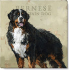 Bernese Mountain Dog Wall Art