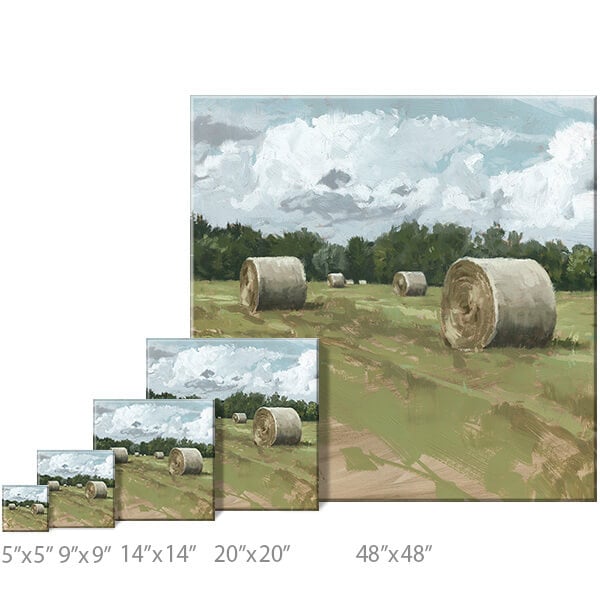 Darren Gygi Hayfield Wall Art