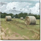 Darren Gygi Hayfield Wall Art