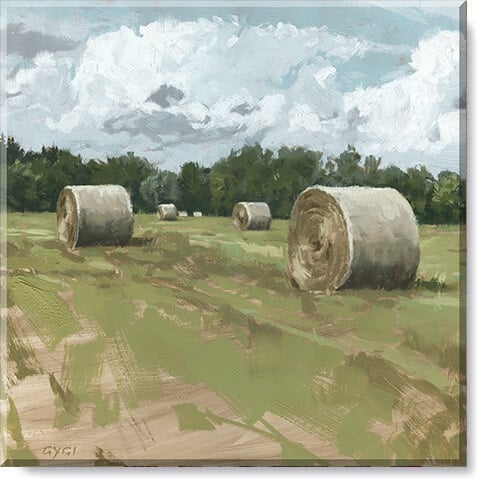 Darren Gygi Hayfield Wall Art
