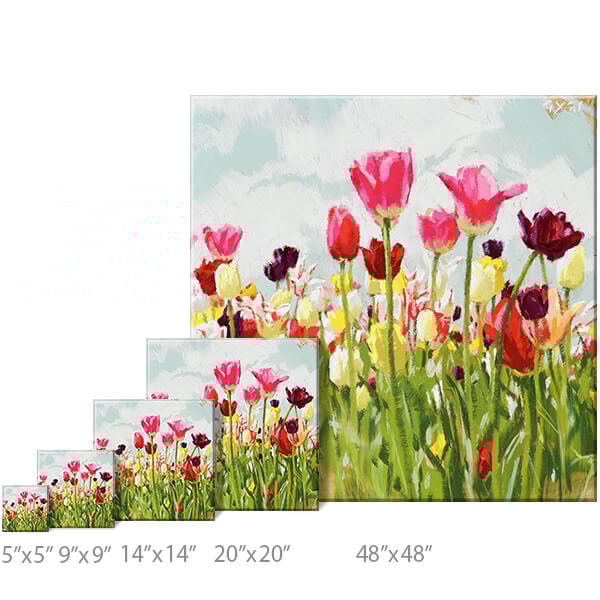 Tulip Field Landscape