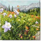 Wildflower Field Landscape