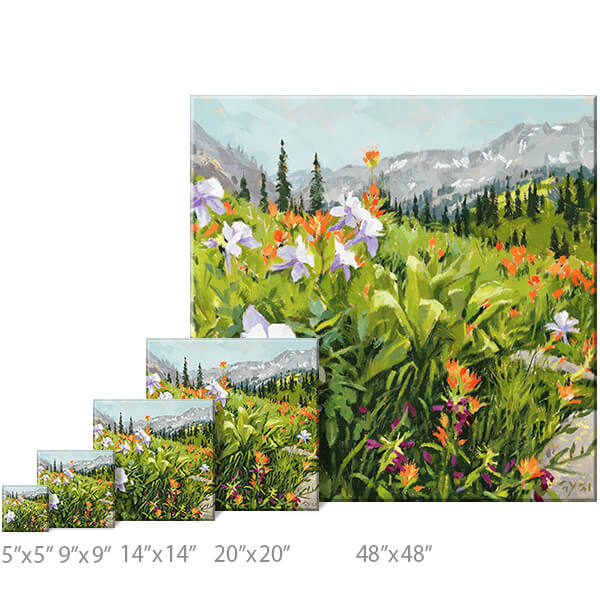 Wildflower Field Landscape